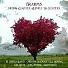 Brahms: String Quartet, Quintet & Sextet