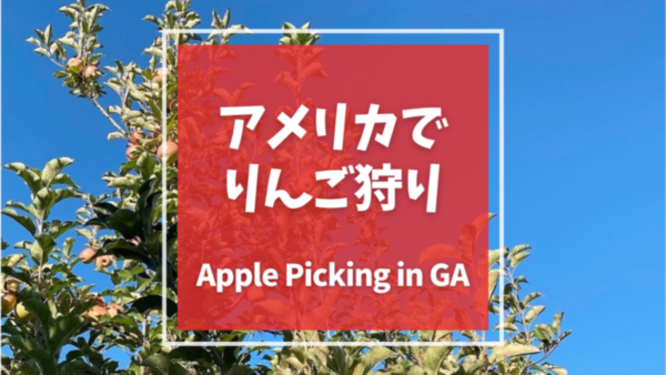 アメリカ ジョージア州でりんご狩り | Apple Picking in Georgia 