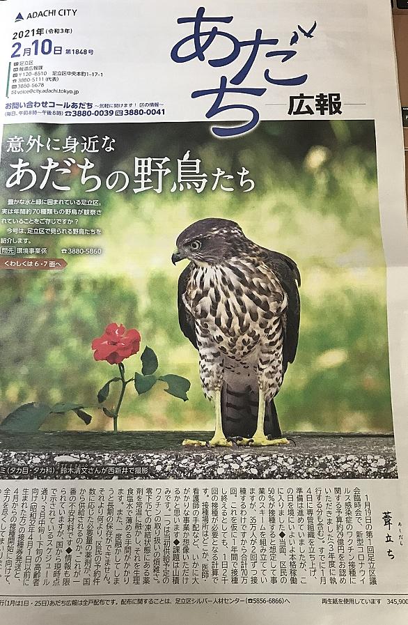 青い稲妻とは スポーツの人気 最新記事を集めました はてな 青い稲妻とは スポーツの人気 最新記事を集めました はてな