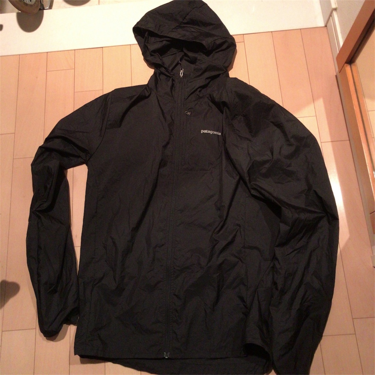 防寒着あれこれ悩んだ末にpatagonia(パタゴニア) フーディニ 
