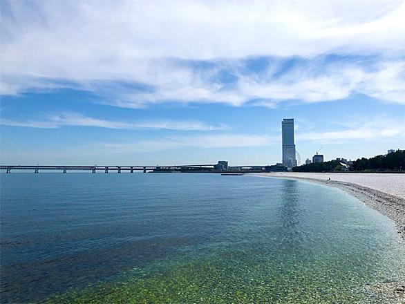 りんくうゲートタワービルとは 地理の人気 最新記事を集めました はてな