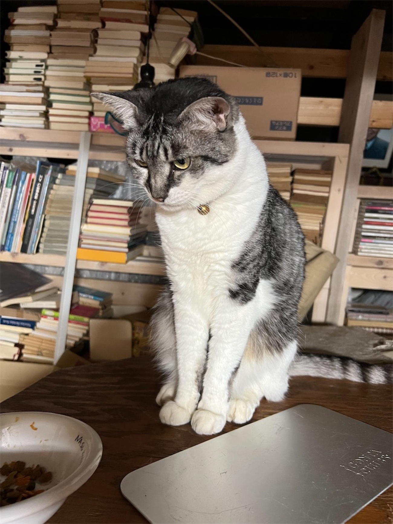 わたくしごとですが - antiquewhiteblogwithlemon’s blog