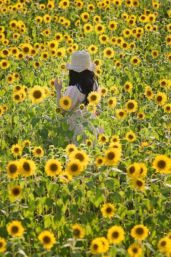 Yukiとは 音楽の人気 最新記事を集めました はてな Yukiとは 音楽の人気 最新記事を集めました はてな