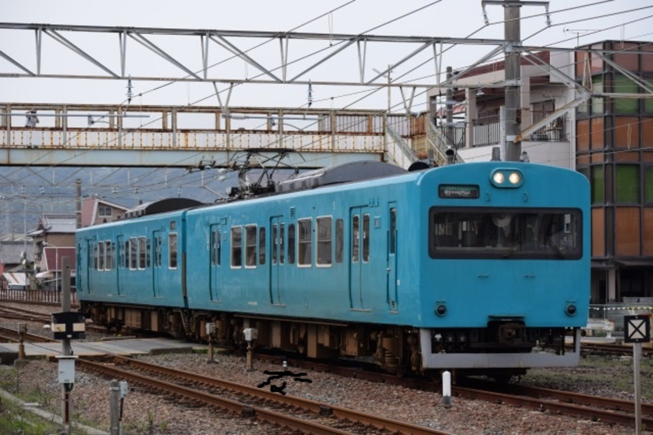 通達116 「 異形の青い113系を狙う 紀伊半島遠征その6