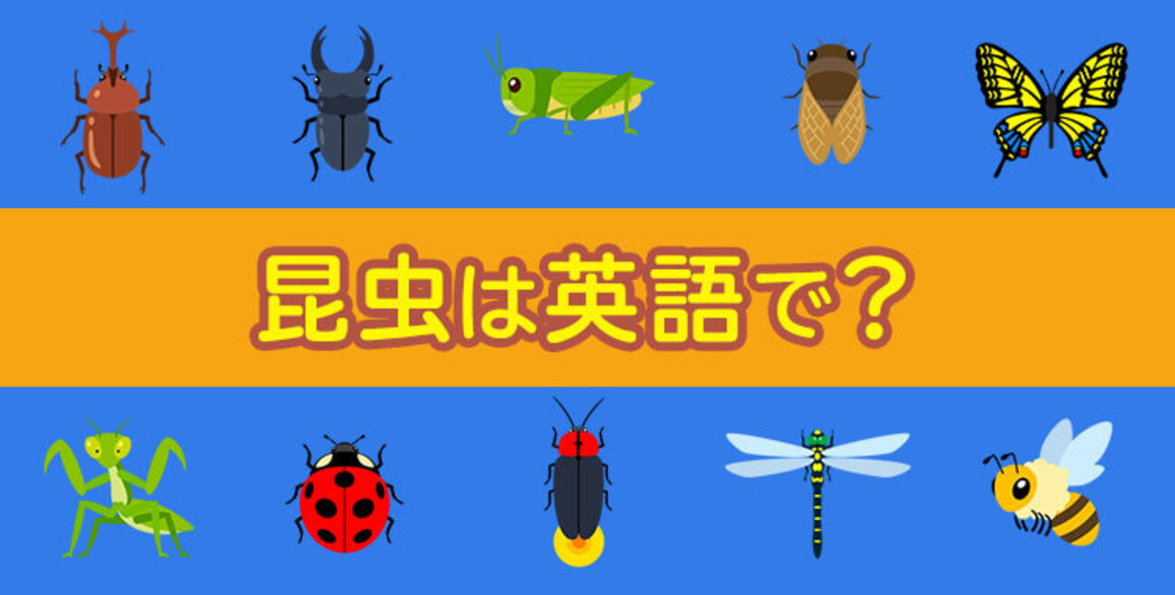 昆虫のことを英語で話してみよう！ - ネイティブキャンプ英会話ブログ | 英会話の豆知識や情報満載