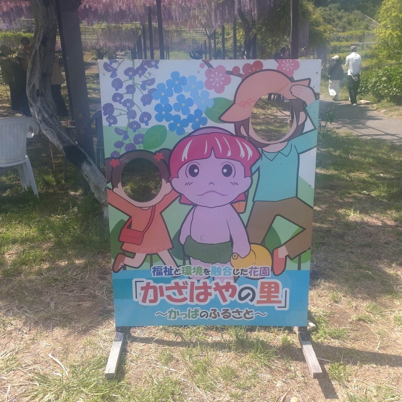 かざはやの里と野原公園の藤 - mategaichanのブログ