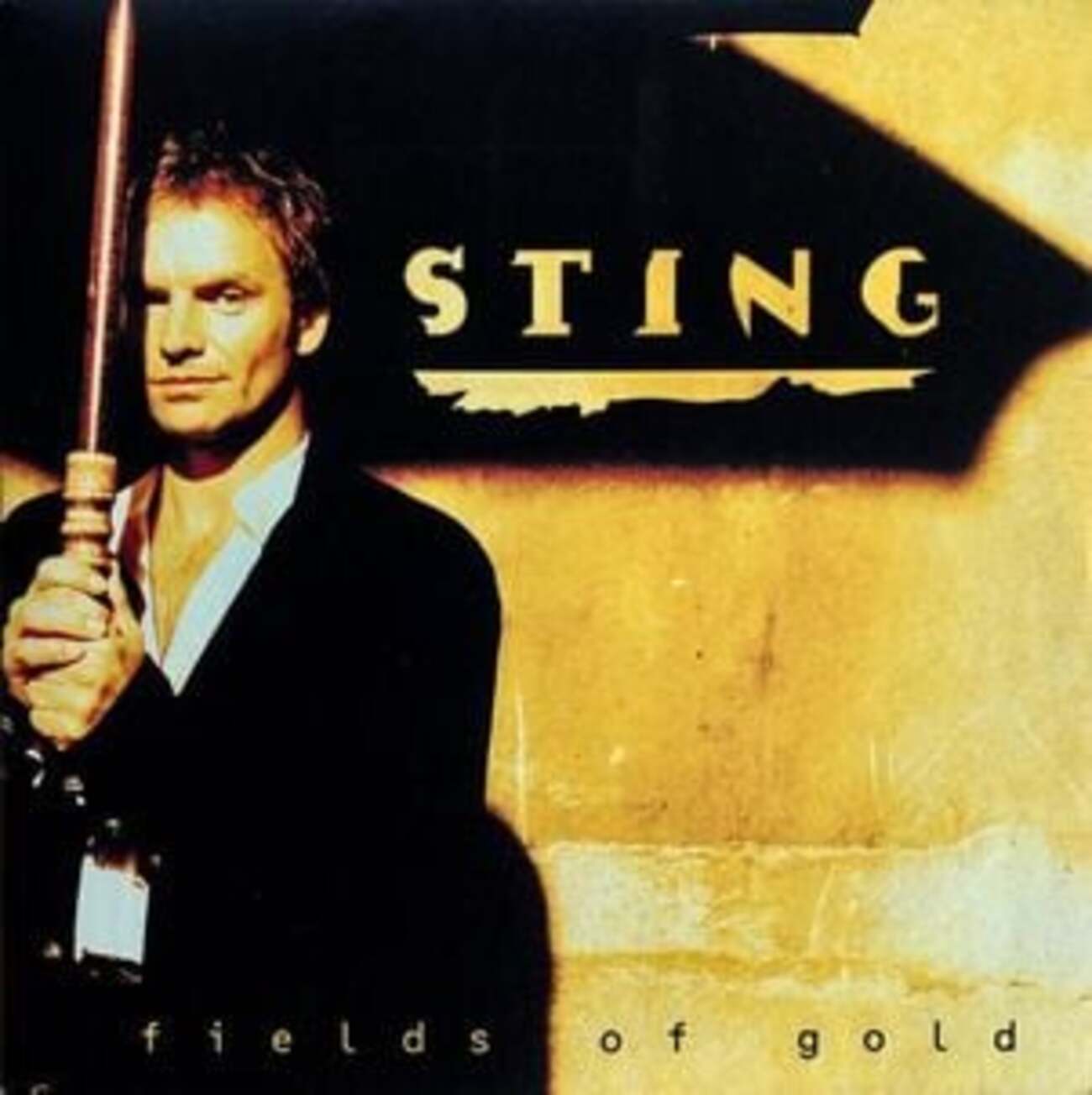 フィールズ・オブ・ゴールド（Fields of Gold）」スティング（Sting 