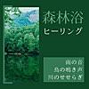 眠れる森の野鳥