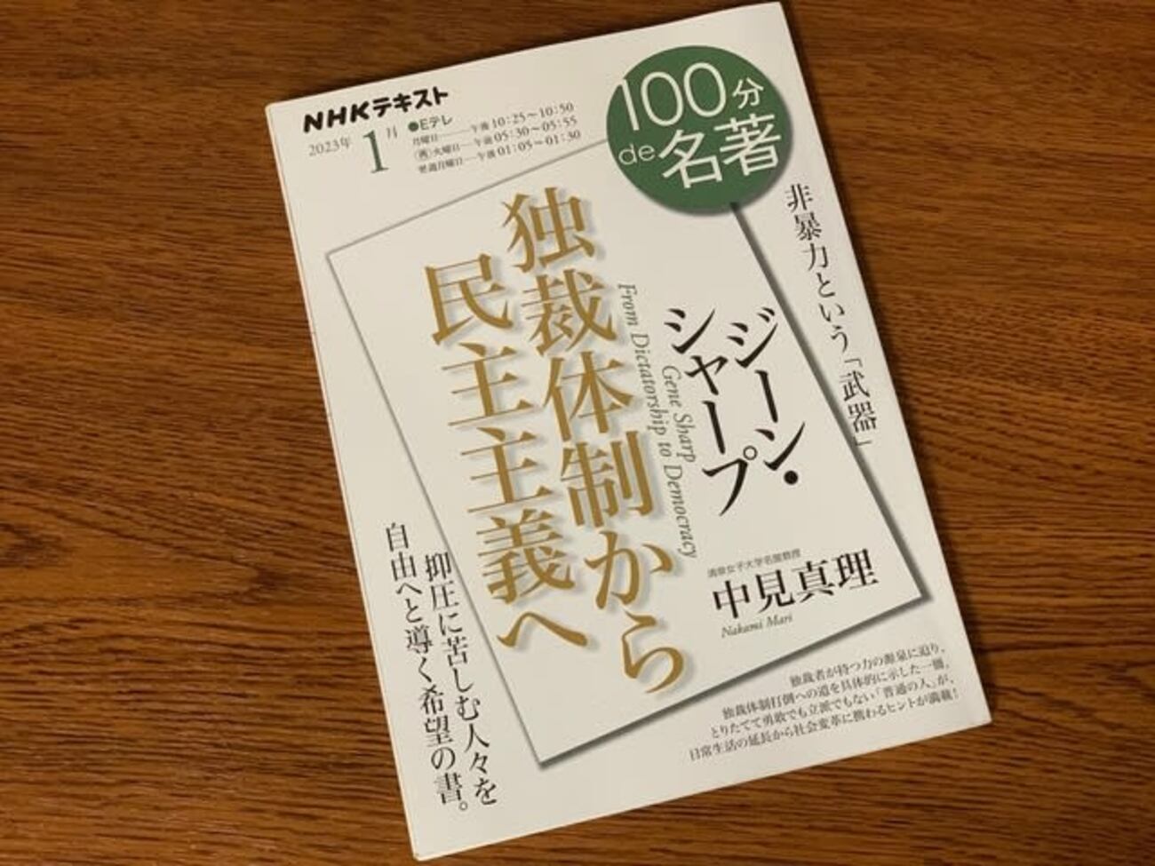 【100分de名著】ジーン・シャープ／独裁体制から民主主義へ - さぶりんブログ