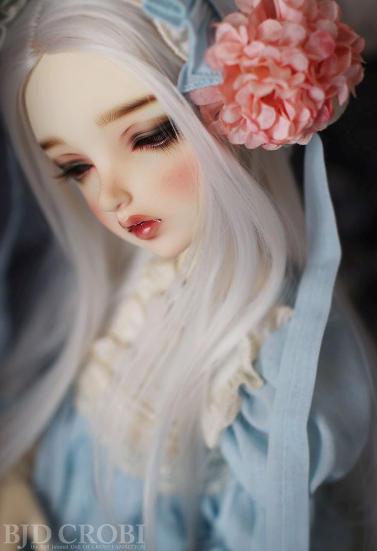 今気になるドールたち【BJD CROBI Limited Doll 編】 - いろんな沼に