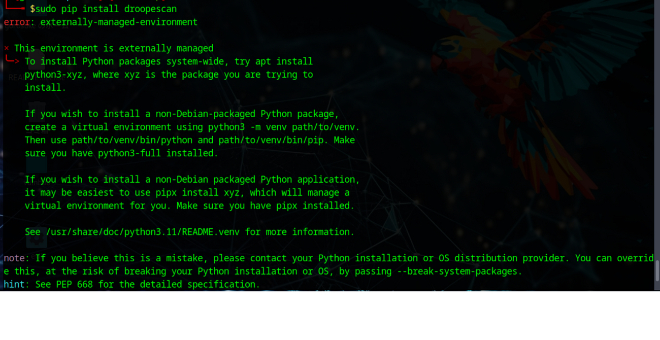 pipを使用してインストールした際に”This environment is externally 