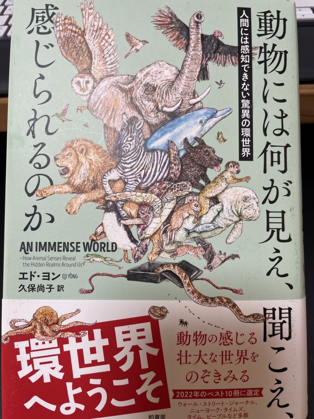 2025年に読んだ「ベスト本」10冊 by ぬまがさワタリ - 沼の見える街