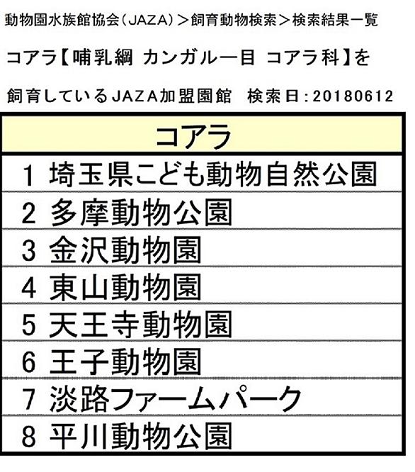 コアラとは 動植物の人気 最新記事を集めました はてな コアラとは 動植物の人気 最新記事を集めました はてな