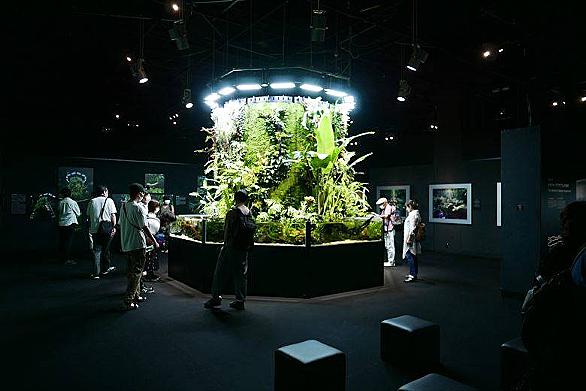 アクアデザインアマノとは 動植物の人気 最新記事を集めました はてな