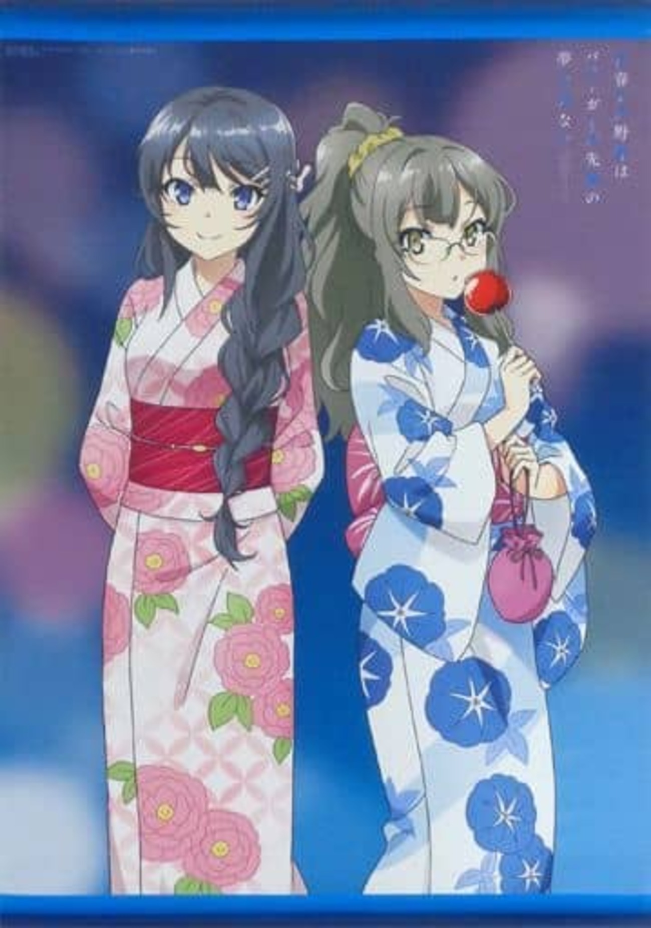 今麻衣＆理央 描き下ろしWスエードB2タペストリー 「Blu-ray/DVD 青春 