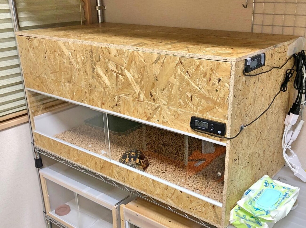リクガメ等にも 爬虫類木製ケージ 手作りゲージ リクガメ用自作木製 