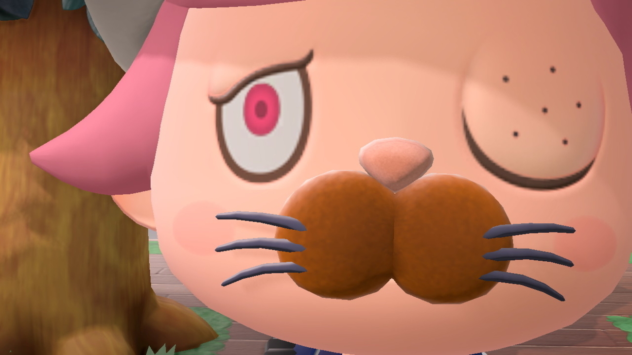 ニンテンドースイッチ あつまれどうぶつの森 Ver.2.0.5 久々に