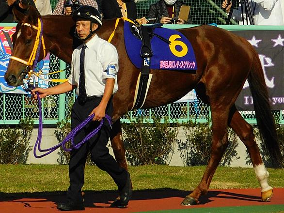 無事是名馬とは スポーツの人気 最新記事を集めました はてな 無事是名馬とは スポーツの人気 最新記事を集めました はてな