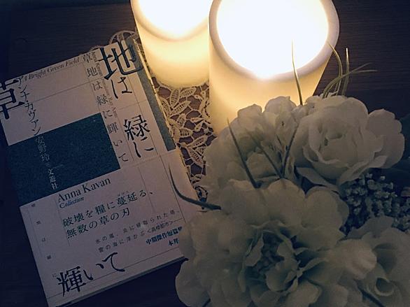 アンナ カヴァンとは 読書の人気 最新記事を集めました はてな