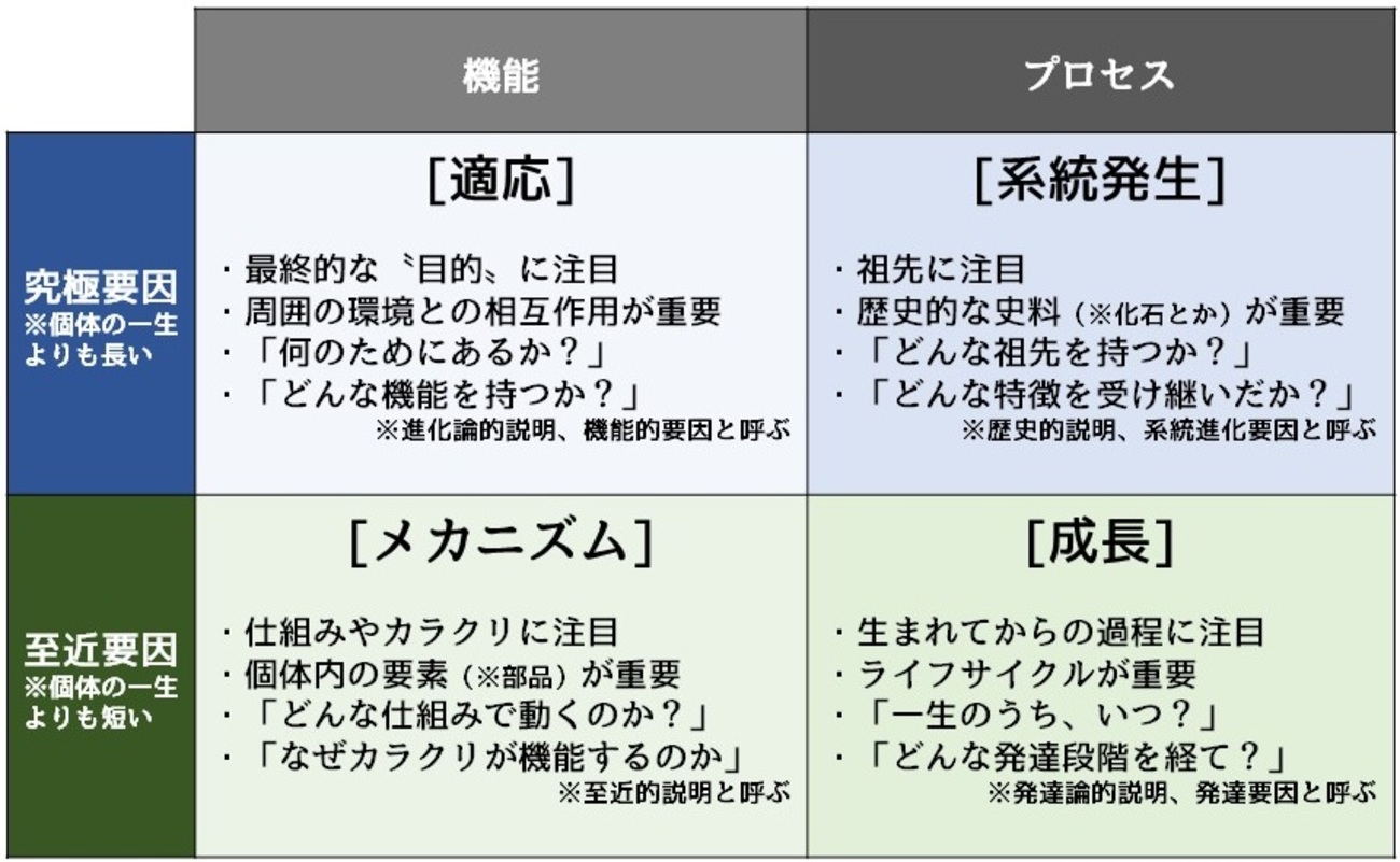 デキる人はみんな使ってる思考の枠組み／ティンバーゲンの4つの「なぜ？」 - デマこい！