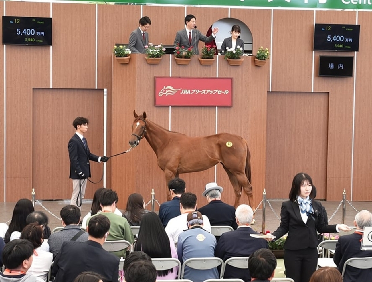 2026 JRAブリーズアップセール】の「上場番号」が発表 - 馬市ドット