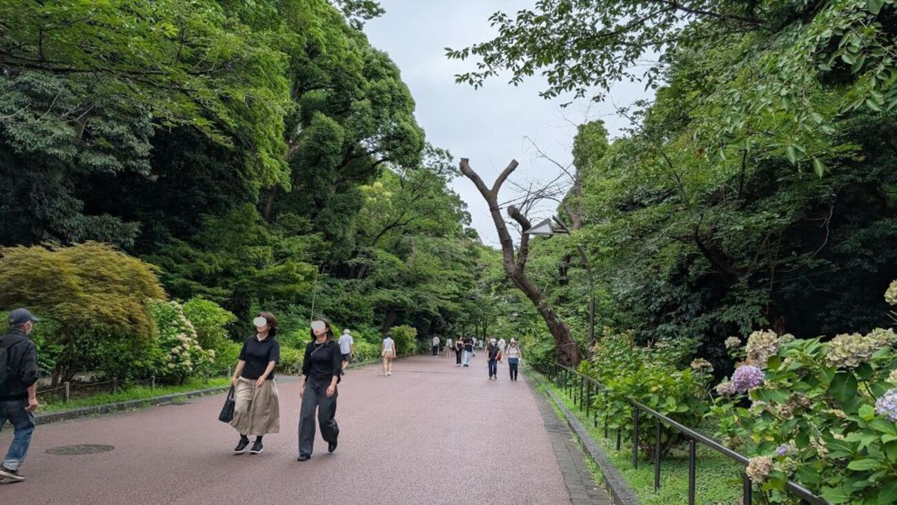 彩と香の富貴蘭展 と (=^・^=) - 猫屋の女将