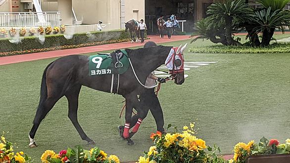 競馬場前駅とは 地理の人気 最新記事を集めました はてな