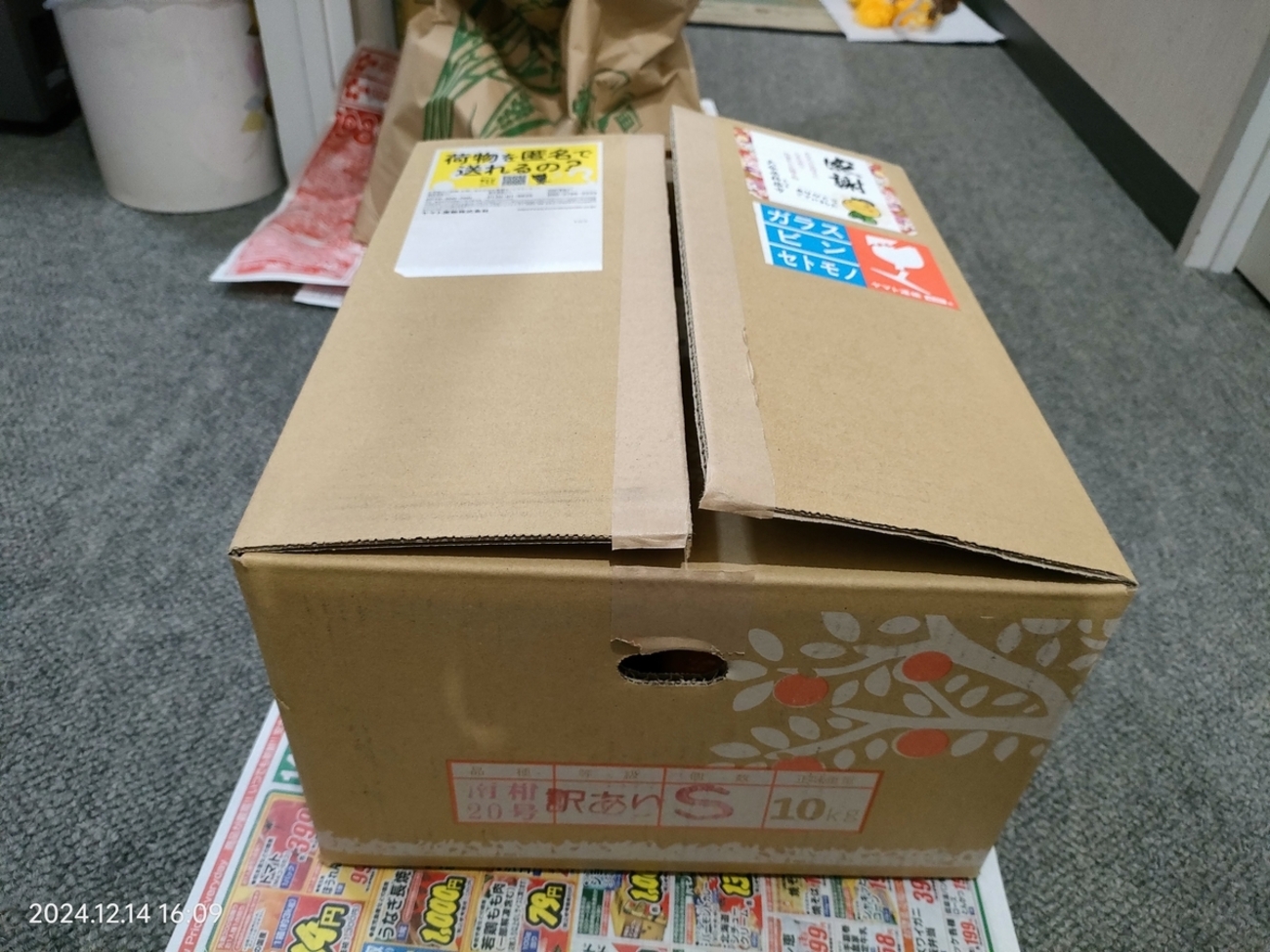 みかんの保存 - 自分方位研究所