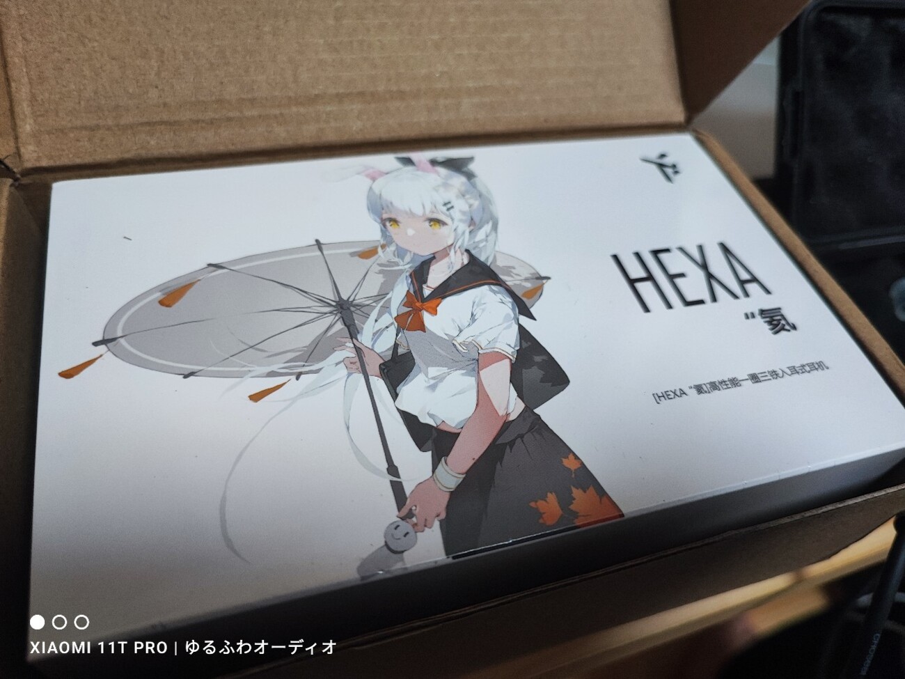 レビュー：Truthear HEXA 結論：A10K リケーブルTier1 傑作イヤホン 