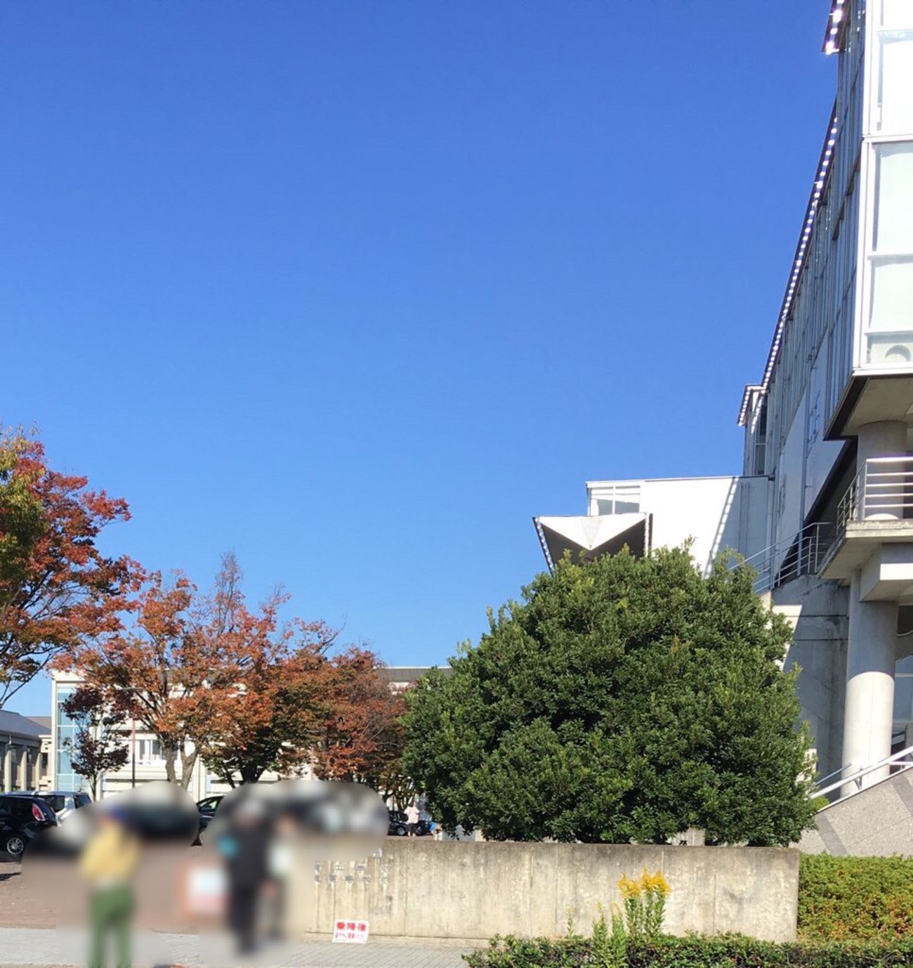 日能研】滝中学トライアル結果発表！きゅーたろう2022年11月3日実施分 