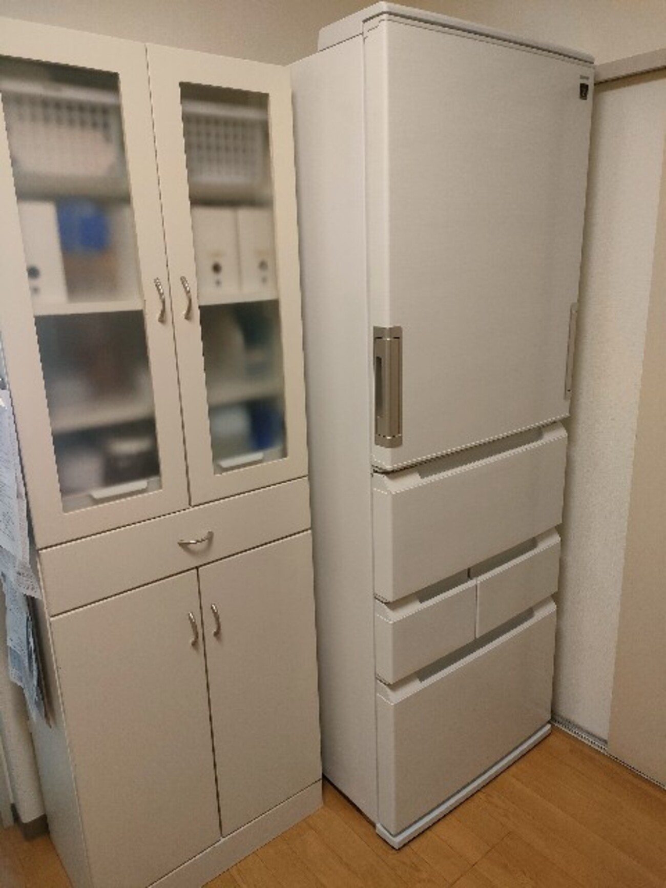 新しい冷蔵庫が届きました！冷蔵庫の買い替えは計画的にがおすすめ 