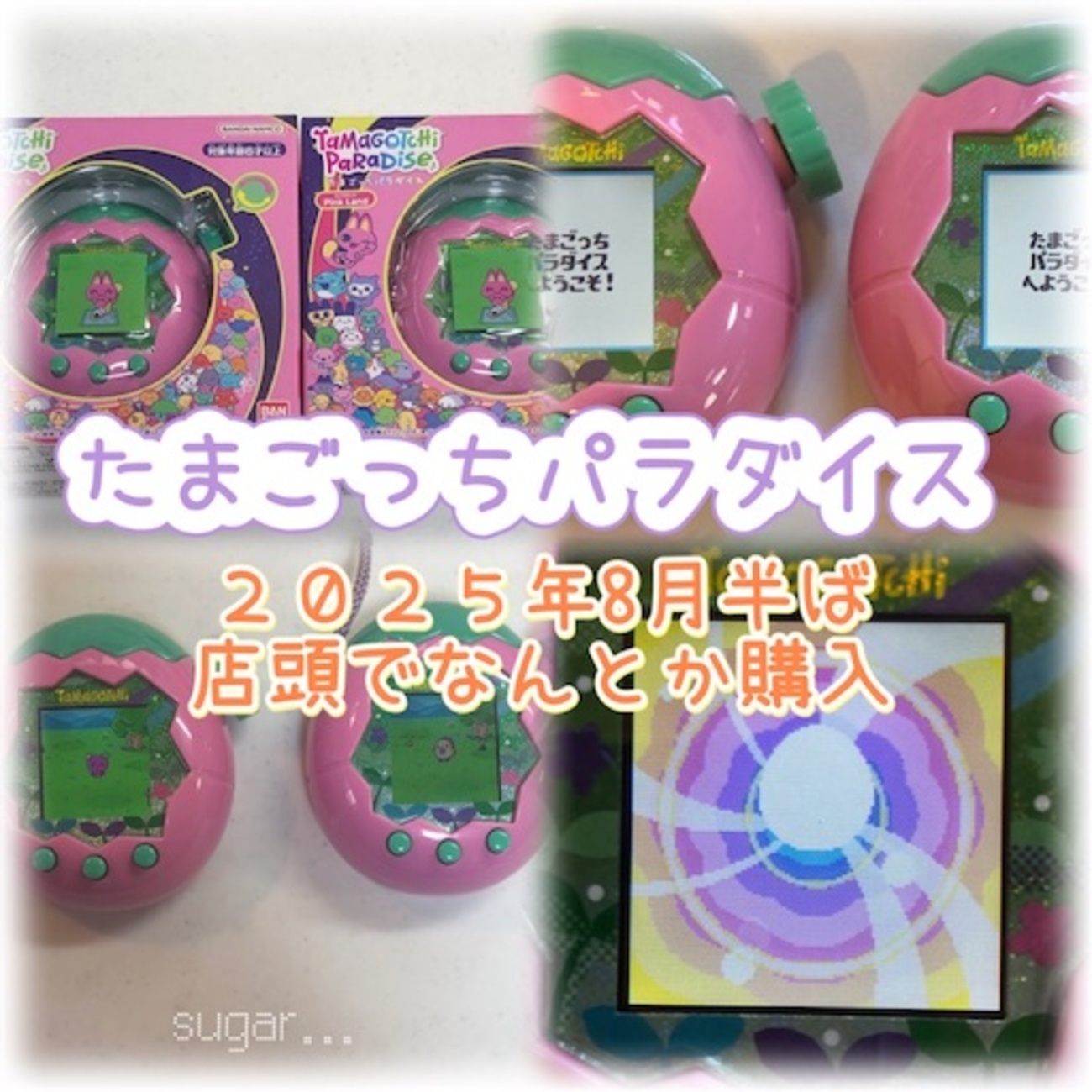 たまごっちパラダイス】8月に店頭で買えた！家電量販店ではなく