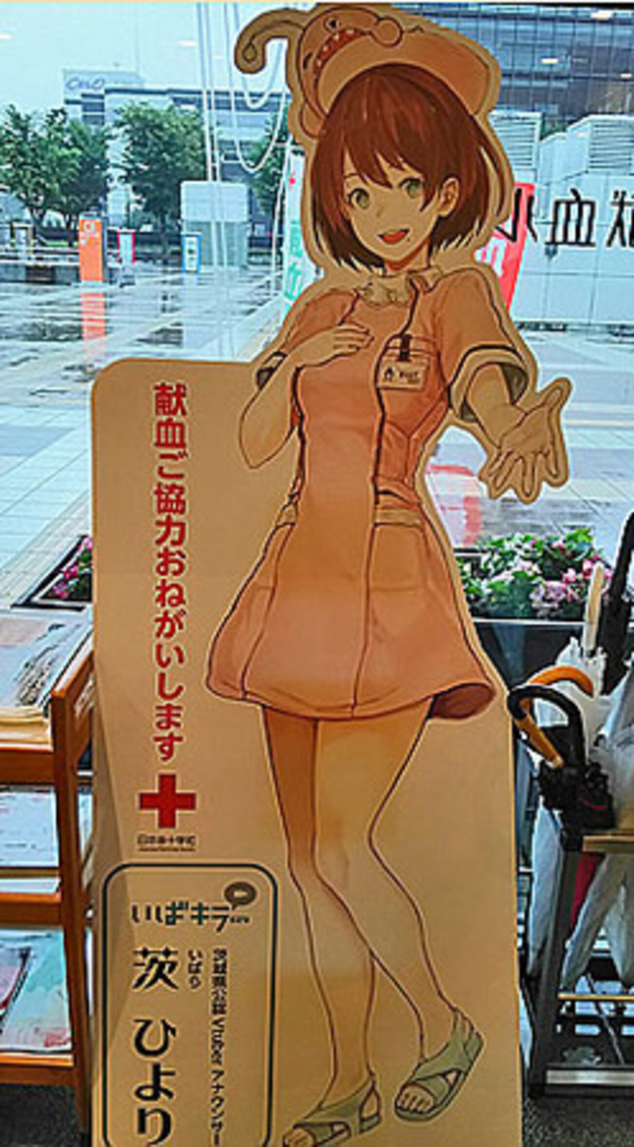献血で「ナース茨ひより」のクリアファイルをゲットしてきました