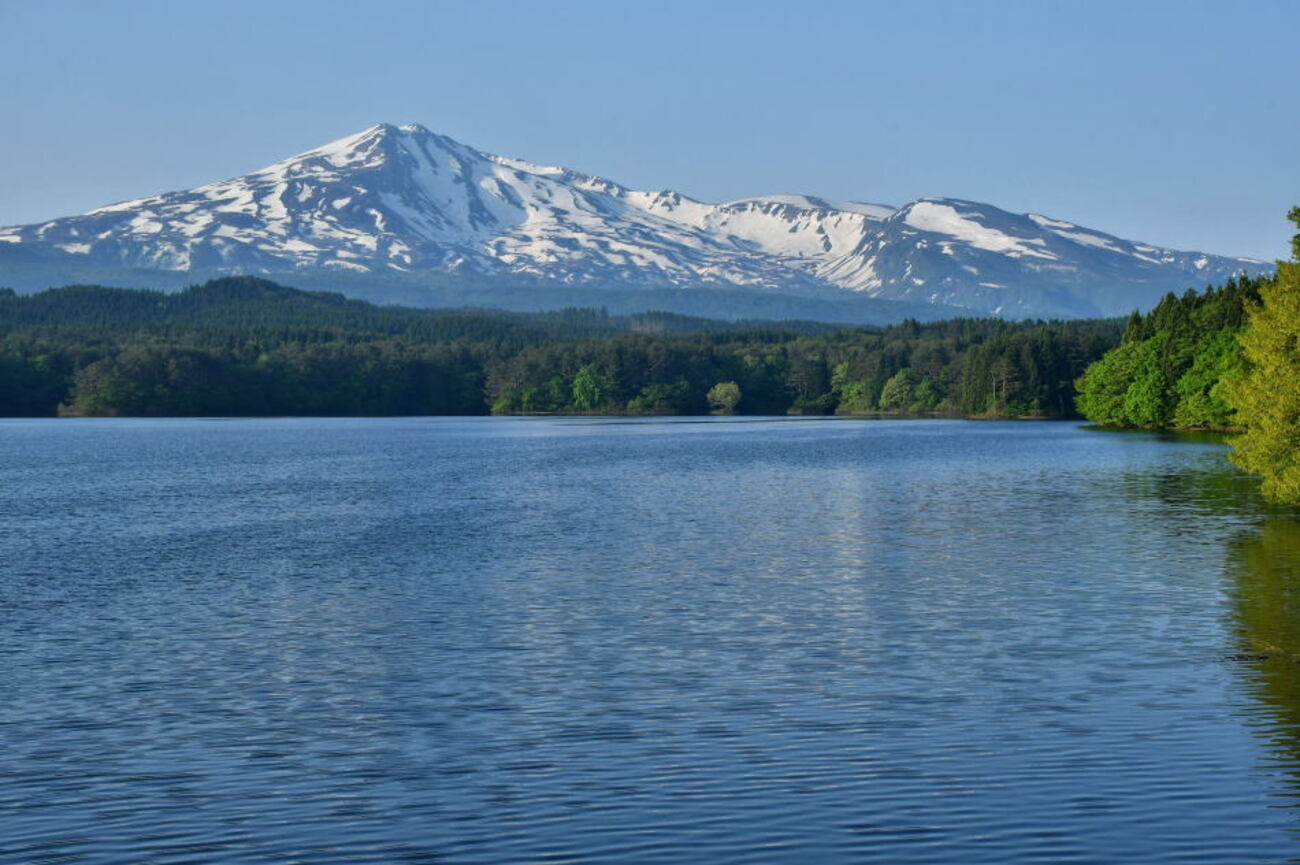 2026年5月17日、秋田の水田鳥海・後編 - モウズイカの花紀行