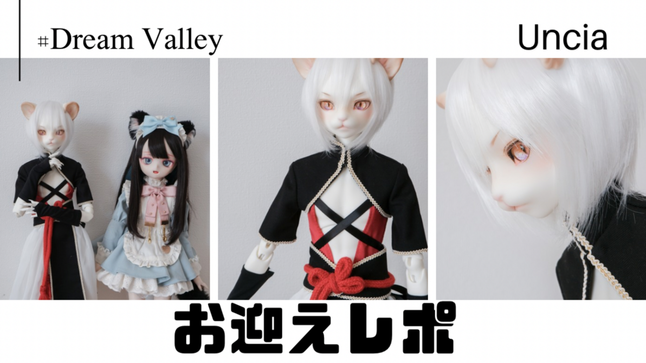 DOLK×Dream Valley】Uncia - 文豪 Limited お迎えレポ - ドールと 