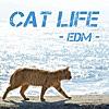 Cat life (EDM Ver.)