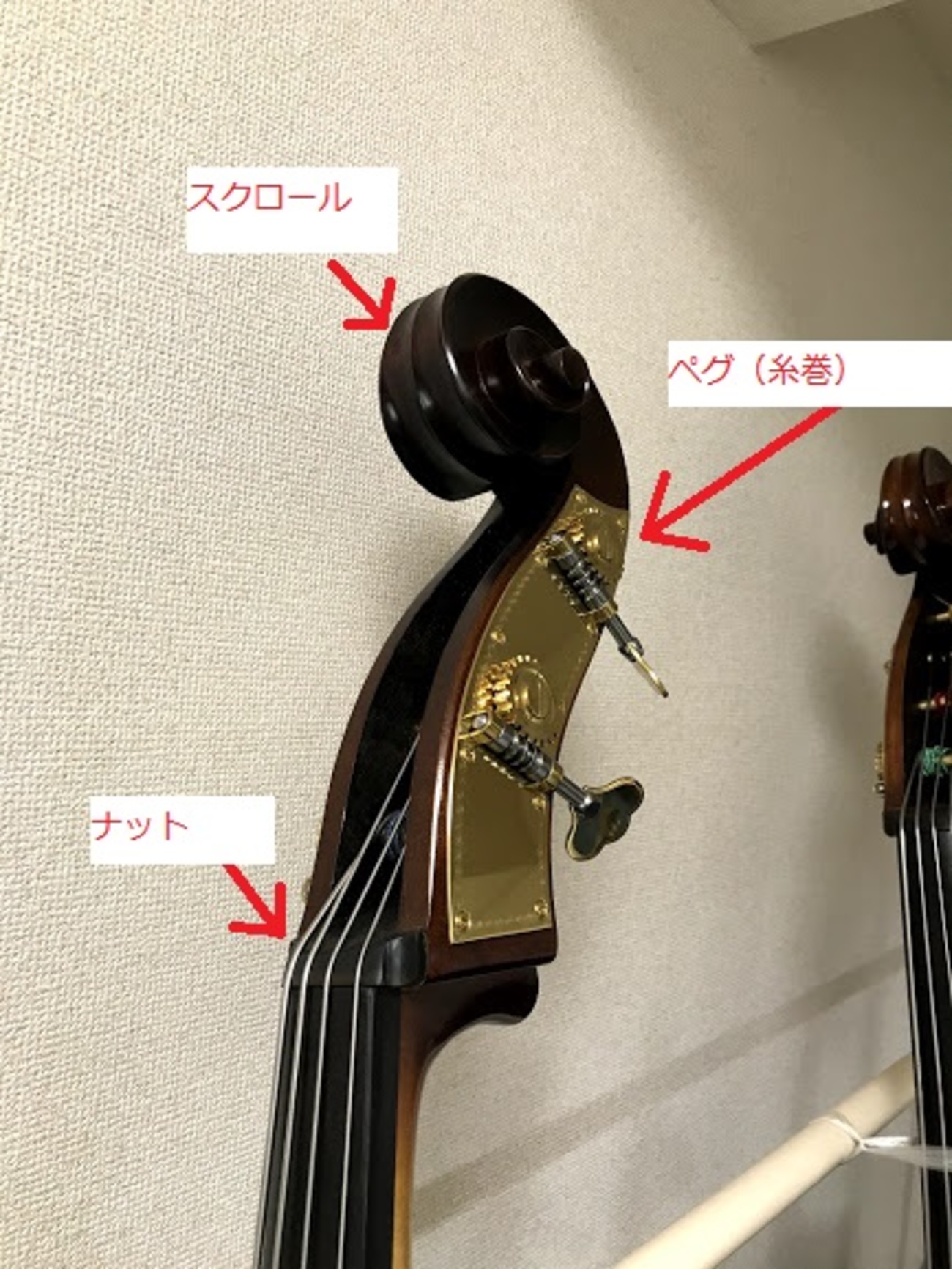 コントラバスという楽器について その2 - BASSLAND