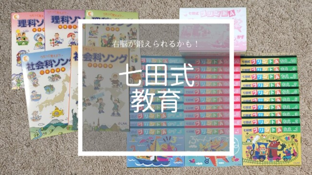 七田式通信教育取組みガイド パイナップルキッズ12冊 七田式☆通信教育幼児