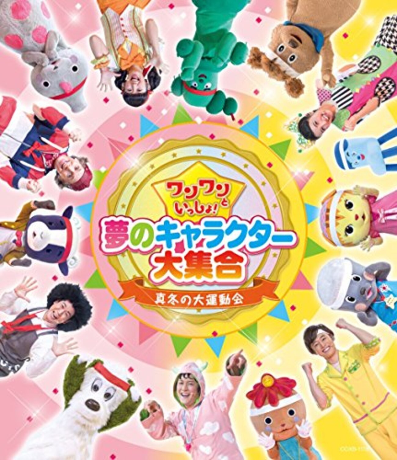活動歴および当時の関連ビジュアル記録