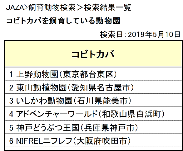 コビトカバとは 動植物の人気 最新記事を集めました はてな コビトカバとは 動植物の人気 最新記事を集めました はてな