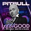 I Feel Good (feat. Anthony Watts & DJWS)