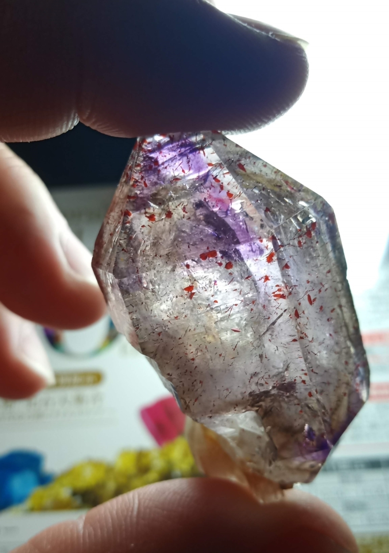 backend=imagemagick;version=1;