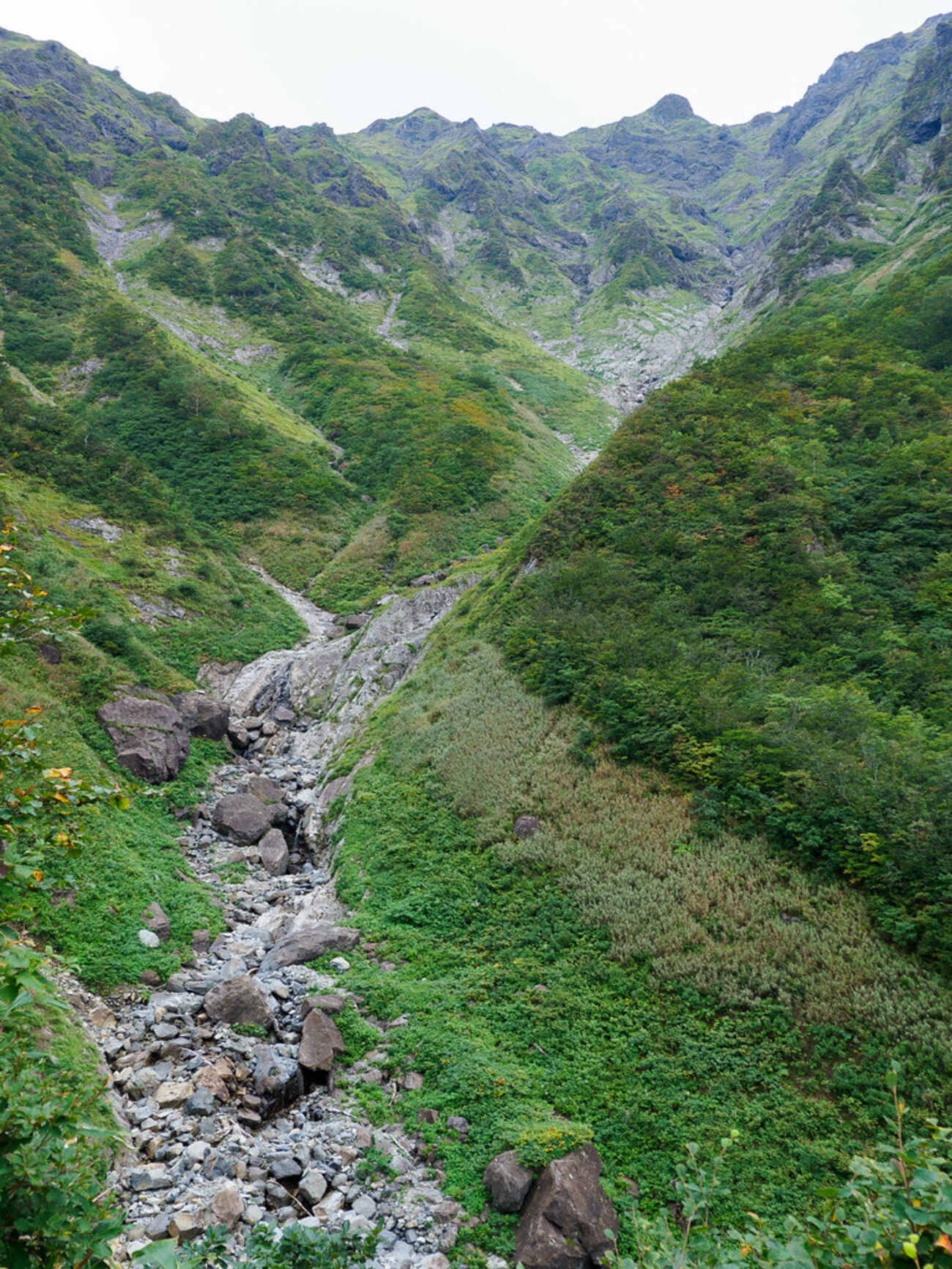 こんないいとこ厳剛新道 from 谷川岳 - 今日も鶏胸肉