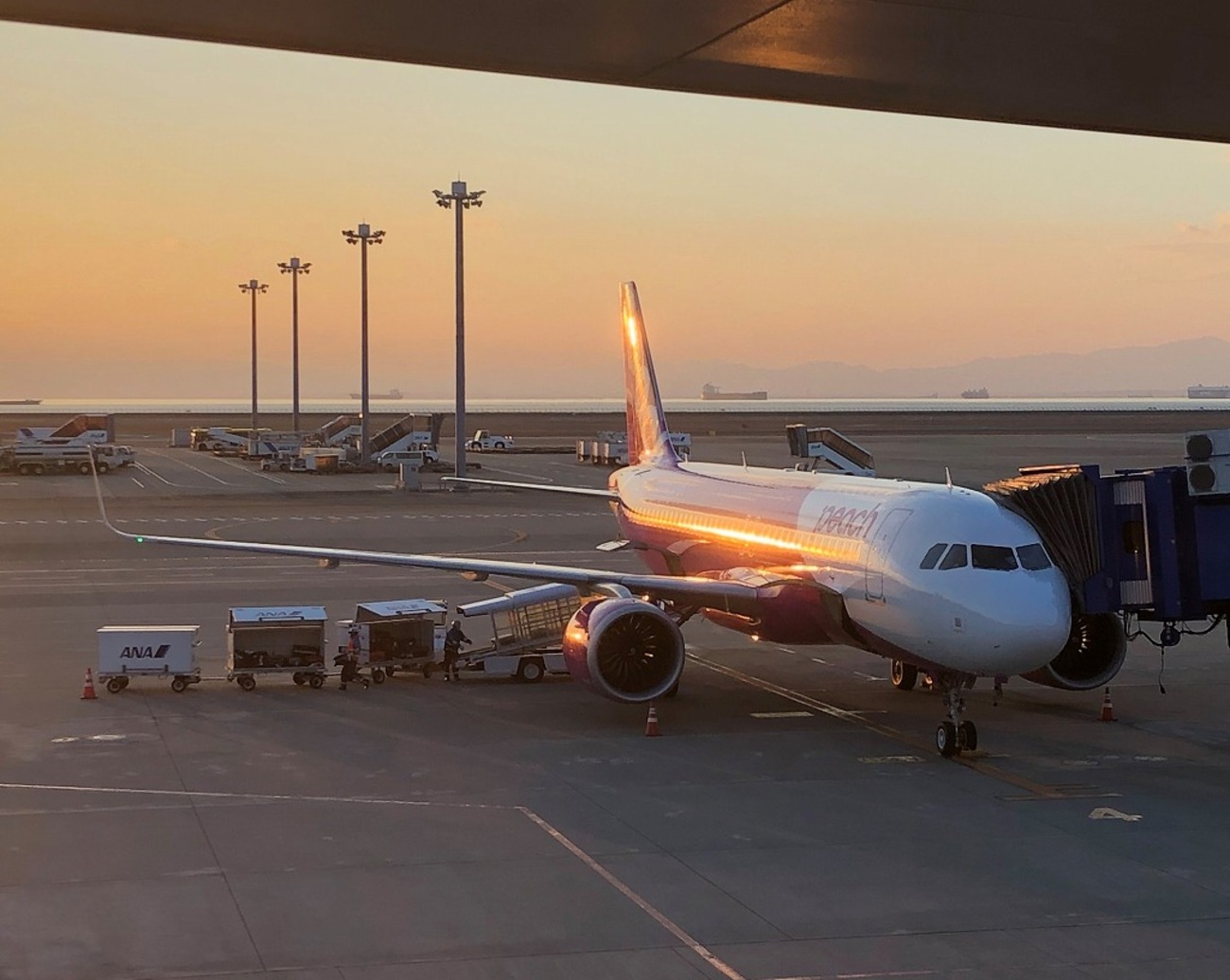 Peach A320neo はんかくさい Peach A320neo はんかくさい Peach Aviation Peachオリジナル