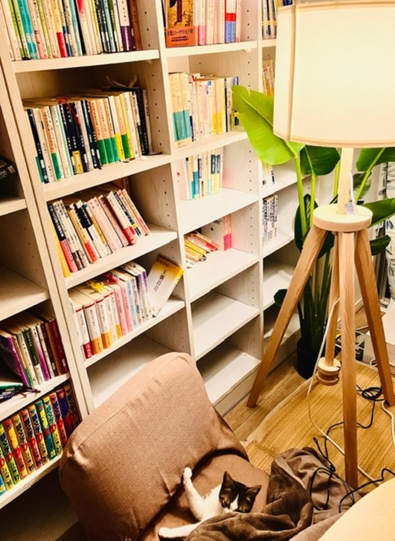 IKEAの間接照明で冬を楽しむ - 雪兎の小部屋