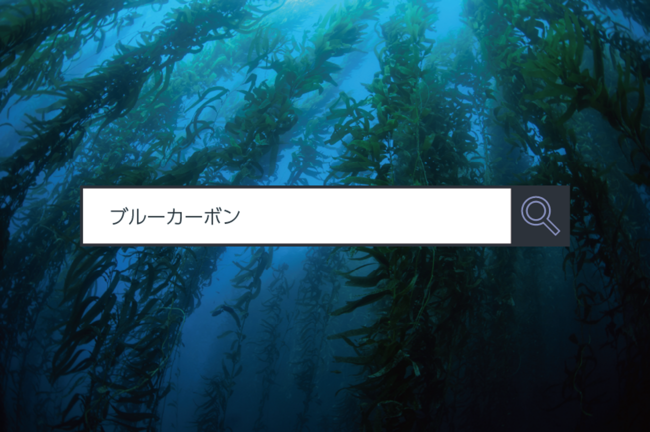 ブルーカーボン ～ 1分で分かるキーワード - ITをもっと身近に