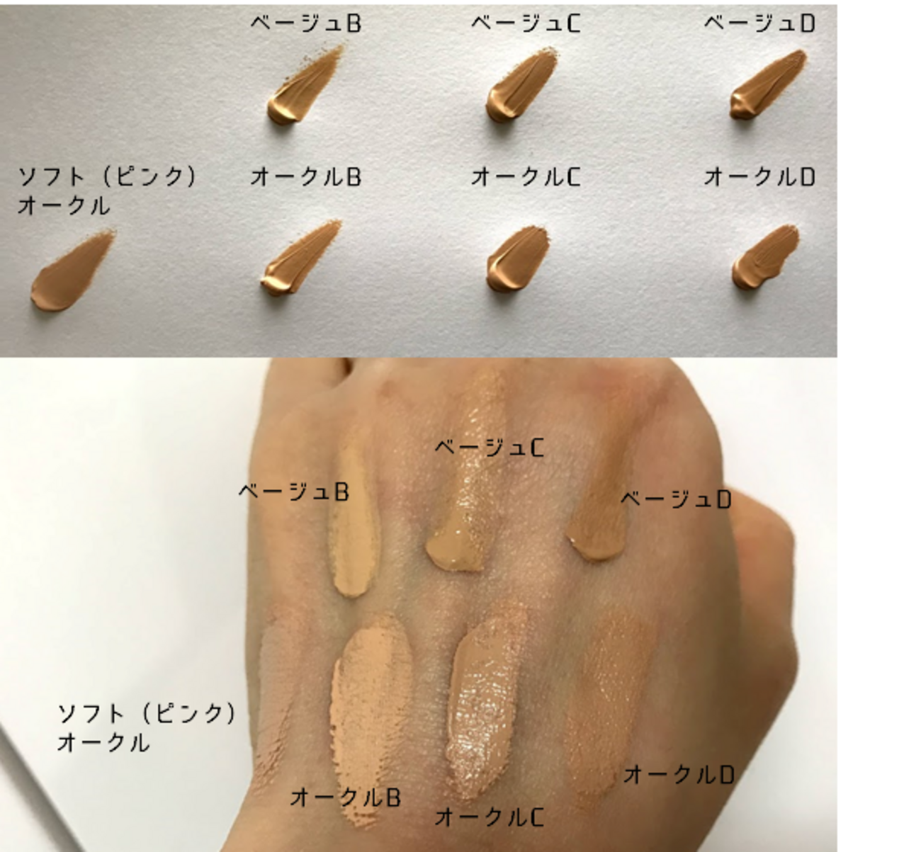 活動歴および当時の関連ビジュアル記録