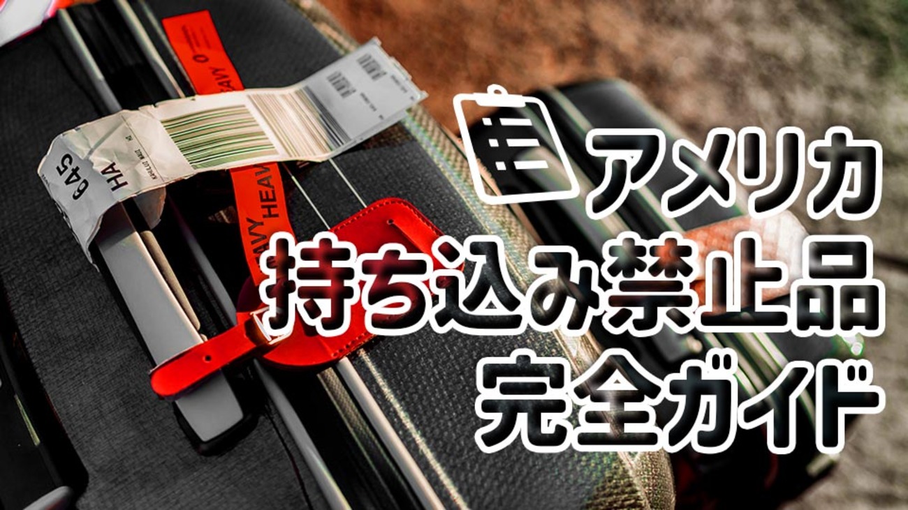 アメリカの持ち込み禁止品一覧と注意点】税関申告・機内のルールなど 