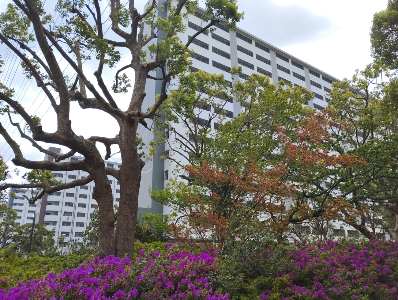 値下げしました✨東京都板橋区高島平より　安心の 整備済みでそのまま乗れます。 爆速！希少！ベクスター125　原付き　スクーター backend=imagemagick;version=1;