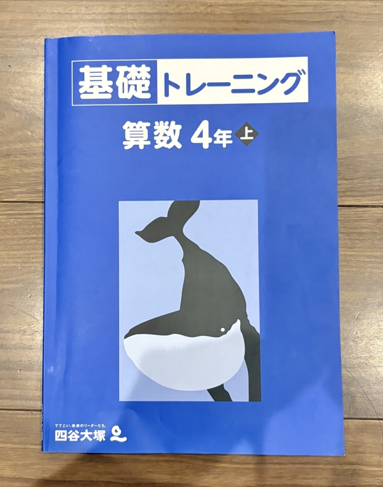 backend=imagemagick;version=1; 
